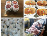 فوم بسته بندی میوه و محصولات صادراتی