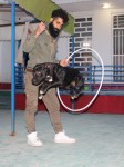 مربی آموزش و تربیت سگ در شیراز