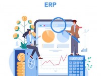 مشاوره و اجرای پروژههای سیستم برنامه ریزی منابع سازمانی(ERP)